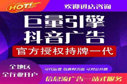 行业领先企业的SEM服务托管策略案例